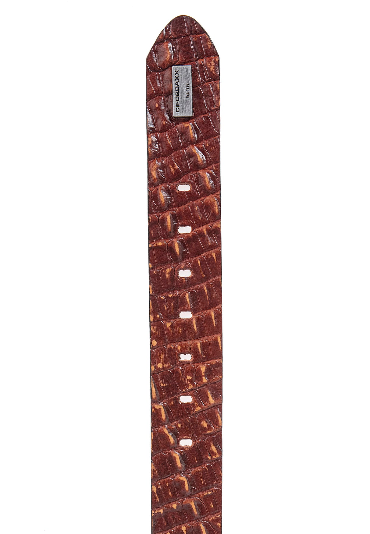 CG176 EL CINTURÓN DE CABALLERO