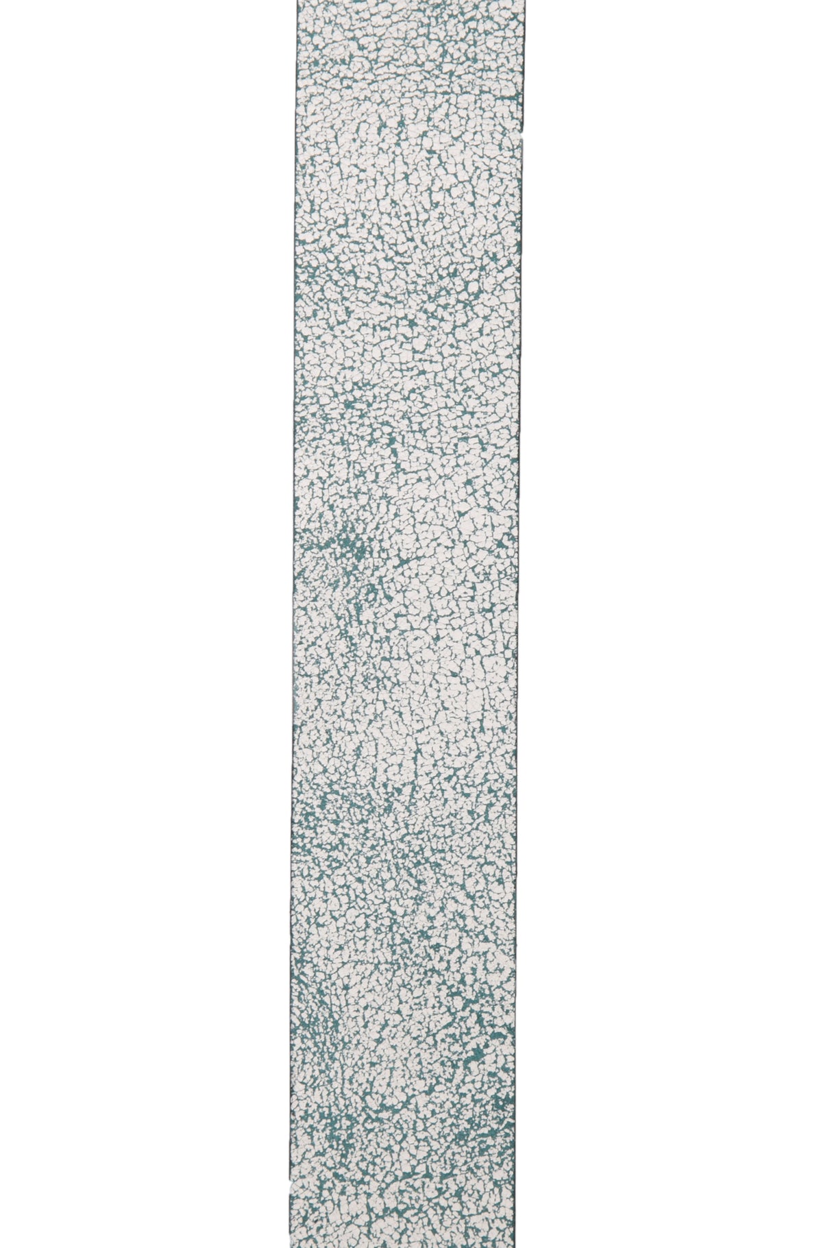 C44862 EL CINTURÓN DE CABALLERO