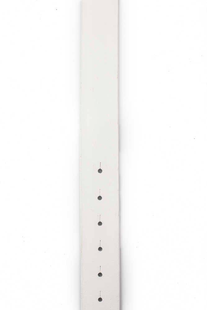 CG154 lederen riemen voor heren met geweldige gesp