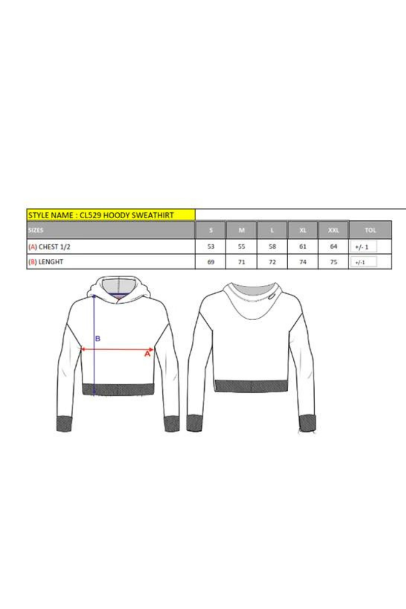 CL529 Herren Sweatshirt mit hochabschließendem Stehkragen - Cipo and Baxx - Herren Sweatshirt - Sweatshirt -
